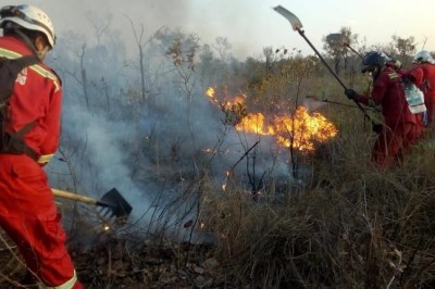 Bomberos y efectivos policiales de Yacuiba combaten incendios en la Chiquitan&iacute;a