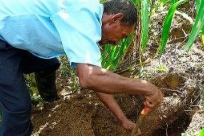 Yacuiba: Concejo solicita informe oficial de los daños en comunidades por sequía