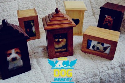 Perros y gatos tienen funerales y cremaciones por videollamada en la Llajta