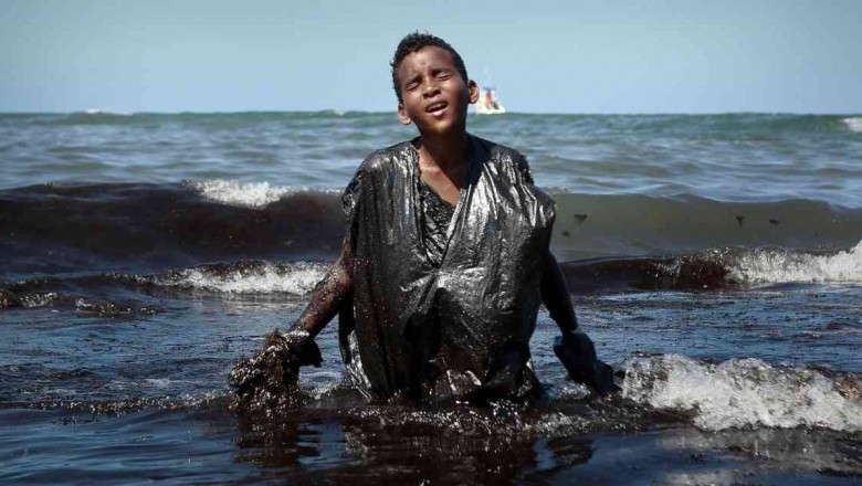 Marea negra en Brasil, retrato local de un desastre