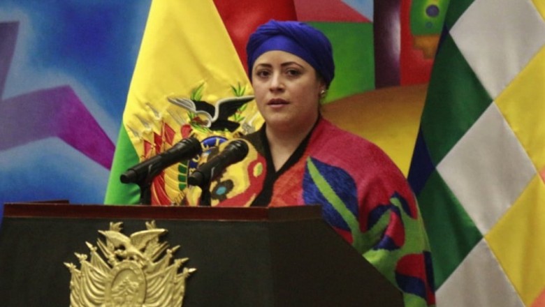 Ministra Prada considera que Almagro &lsquo;no tiene moral para hablar de la democracia boliviana&rsquo;