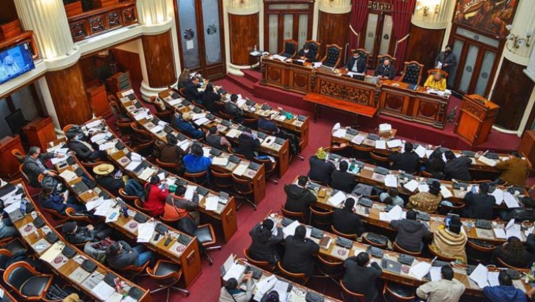El MAS busca declarar inconstitucional a ley de sucesi&oacute;n de &Aacute;&ntilde;ez