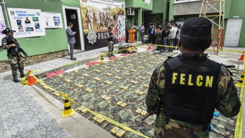Producci&oacute;n potencial de coca&iacute;na en Bolivia roza m&aacute;ximos hist&oacute;ricos