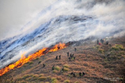 Alcaldía inicia campaña de concientización para  evitar grandes incendios forestales en Tarija