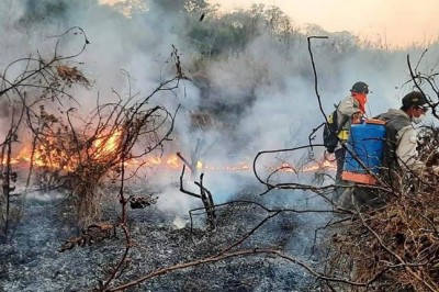 SEGÚN EXPERTOS Urge nueva política de desarrollo agrario para frenar los incendios
