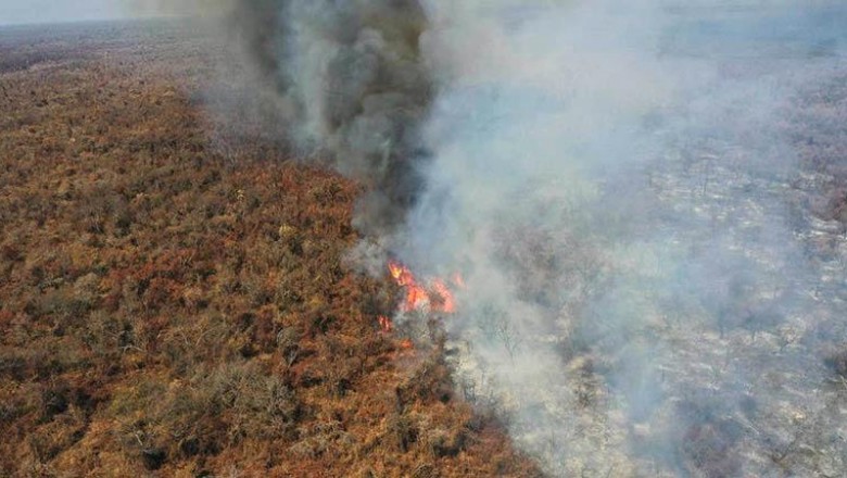 Incendios afectan a m&aacute;s de 150 mil ha y el Gobierno apunta a empresarios