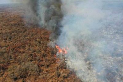 Incendios afectan a más de 150 mil ha y el Gobierno apunta a empresarios