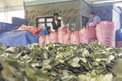 PAÍS El Gobierno descalifica el informe de EEUU y alienta la exportación de coca