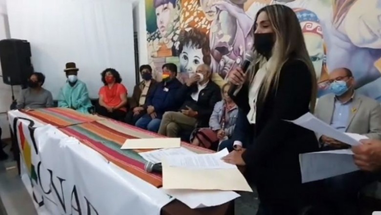Jeanine A&ntilde;ez: &laquo;Ahora los golpistas me llaman golpista&raquo;