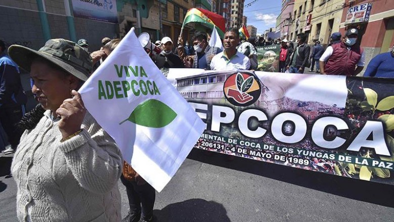 Adepcoca convoca a sus afiliados a protestas contra mercado ilegal