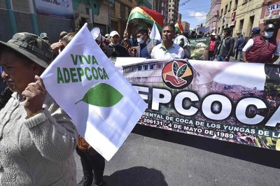 Adepcoca convoca a sus afiliados a protestas contra mercado ilegal