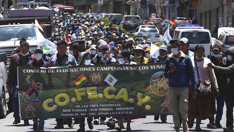 Adepcoca declara emergencia y pide atenci&oacute;n a sus demandas