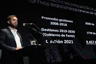 Del Castillo denuncia que en gestión de Áñez hubo ‘intento de mermar’ a la población del Chapare