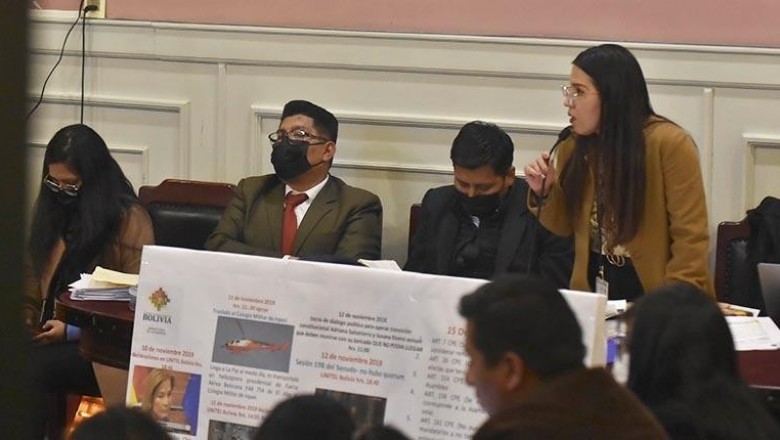Afines al MAS piden sentencia de 30 a&ntilde;os para la expresidenta &Aacute;&ntilde;ez
