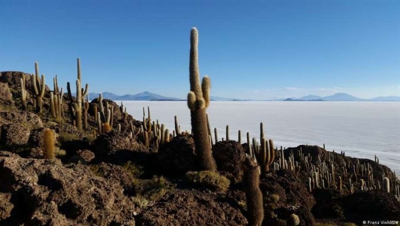 Bolivia: el sue&ntilde;o alem&aacute;n del litio amenaza con derrumbarse