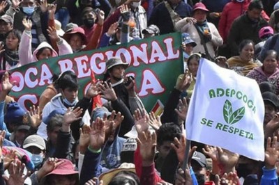 Adepcoca y Conade marchan contra el Gobierno