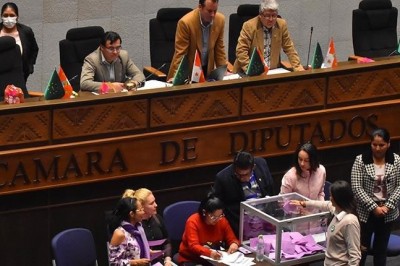 Senado tiene dos vías para tratar ley del censo: comisión o vía corta