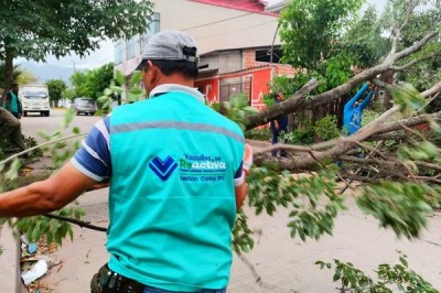 Ante fuertes vientos la alcaldía despliega a cuadrillas de emergencias para hacer el retiro de árboles y ramas caídas en una reacción oportuna.