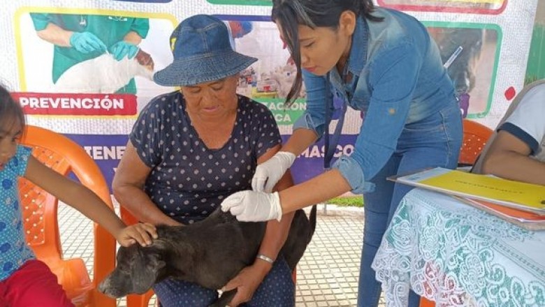 EN DOS SEMANAS LA ALCALD&Iacute;A SOBREPAS&Oacute; LAS 1.446 ATENCIONES A CANINOS Y FELINOS EN EL AREA URBANA A TRAV&Eacute;S DE LA CAMPA&Ntilde;A ZOONOSIS M&Aacute;S CERCA DE TI