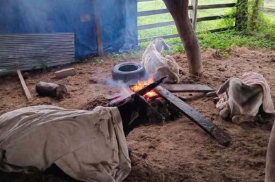 Bajas temperaturas matan al ganado en Beni y Gobierno moviliza ayuda