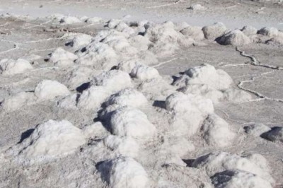 Arce anuncia más litio, expertos observan que Bolivia no tiene reservas certificadas
