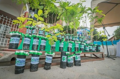  POR UNA YACUIBA MÁS VERDE, LA ALCALDÍA INICIA LA 1RA FASE DE LA CAMPAÑA MUNICIPAL DE ARBORIZACIÓN