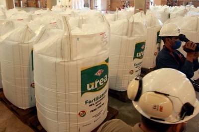 Cae la exportación de urea de $us 140 millones a unos $us 40 millones