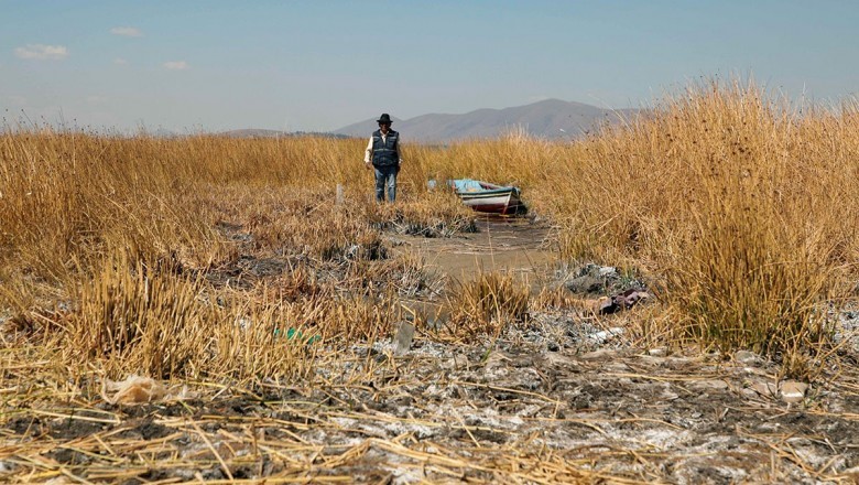 Plan apunta a salvar el lago Titicaca con $us 600 millones