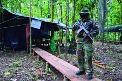 El 90% de las factorías de droga destruidas estaban en el Chapare