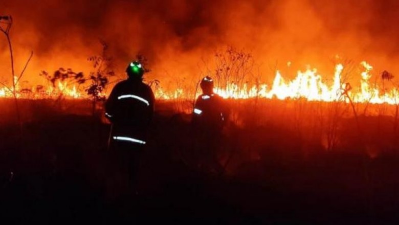 Expertos: Crisis h&iacute;drica y sequ&iacute;a suben la probabilidad de incendios forestales